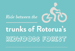Trunks of Rotorua